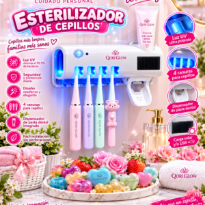 Toothbrush Sterilizer